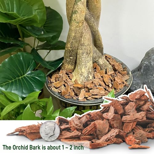 6 Quart Organic Orchid Bark for Potting-Natural Orchid Mulch for Potted Plants, Root Development of Orchid Plants and Garden Soil Amendment Mix - color: Medium, size: 6qt
