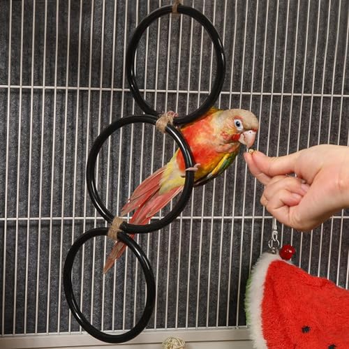 6pcs Snake Climbing Rings for Ball Python, 26.8x4.5'' Snake Climbing Rings | with Hemp Rope, Enrichment Toys for Corn Snake, Reptile Tank Cage Decor Habitat Accessories for Terrarium, Chameleon, Parrot