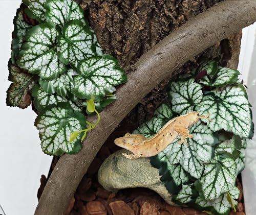 Woyrise Fake Reptile Plants for Terrarium,Tank Decor, Artificial Plant | Hanging Plant with Suction Cup,Amphibian Habitat Decor,Tank Accessories for Snake Gecko ChameleonTortoise(Green Heuchera) - color: B-fake Heuchera Micrantha Green