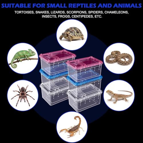 Novabright 12 Pcs Plastic Reptile Terrariums with Vented Holes, Snake Breeding Box Hatching Container for Spider Turtle Tarantula Scorpion Lizard Gecko (6.5 x 4.53 x 2.56 Inch)