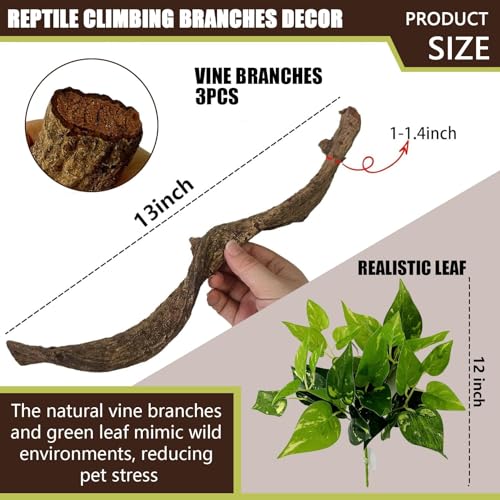 BNOSDM 3PCS Natural Reptile Climbing Branches Decor,0.8-1.2" Thick Snake Climbing Forest Wood with Plant Leaf Decor,Lizard Forest Branch,Geckos Tank Tree Trunk Accessories for Bearded Dragons - size: 3PCS|S:0.75-1.25"T,13"H