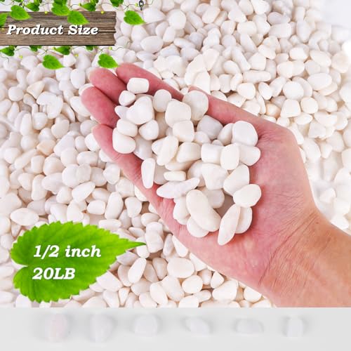 20 lbs White Gravel, 1/2 Inch Garden Pebbles, Polished Pebbles,Decorative Rocks for Potted Plants,Suitable for Vases, Cactus Potted Plants, Fish Tanks - color: White, size: 1/2 Inch 20 LB