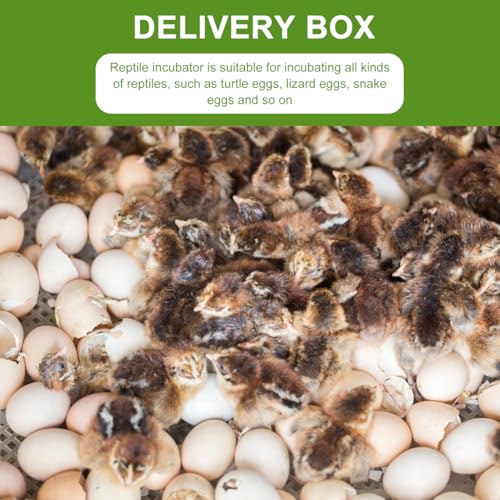 Balacoo 4 Pcs 16-Grid Reptile Breeding Box, Professional Clear Egg Incubator Tray, Plastic Breeder Box for Gecko, Lizard &Amp; Mane Hatching
