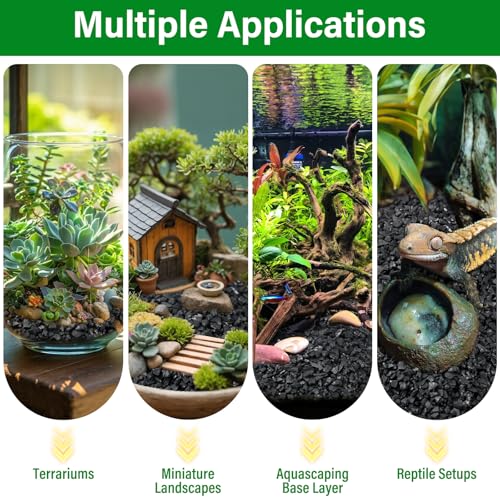 10QT All Natural Horticultural Charcoal- Activated Hardwood Plant Charcoal for Soil Amendment, Conditioning Bonsai Soil, Succulent, Terrarium Supplies, Indoor Plant Potting Soil - color: 10 QT