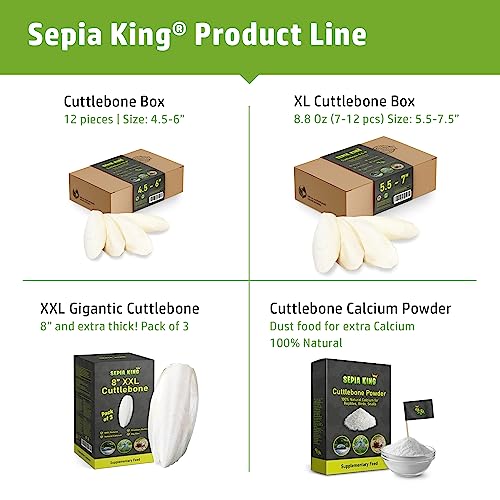 Sepia King - Large - Cuttlebone for Birds, Tortoises, Snails, Reptiles 5.5-7" - 8.8oz - 100% Natural Calcium Supplement, Food and Toys for Parakeets, Turtles