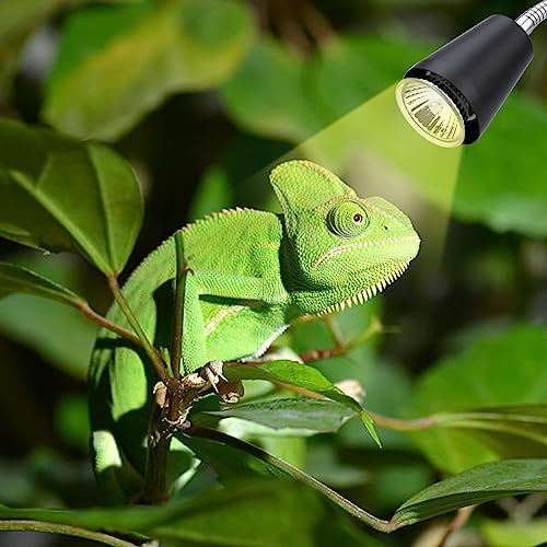 Reptile Heat Lamps, UVA/UVB Turtle Heat Lamp,Turtle Aquarium Light Bulbs, Heating Lamps with 360° Rotatable Heat Lamp for Lizard Turtle Snake Aquarium Aquatic Plants,2 Heat Bulbs 110V - color: Timed-99%uva+3%uvb Turtle Lamp+2bulb