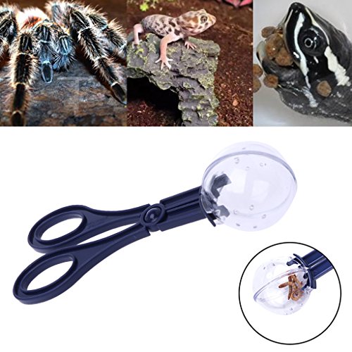 Reptile Feeding and Cleaning Tool, Amphibian Terrarium Spider Cricket Feeding Clamp Litter Clamp
