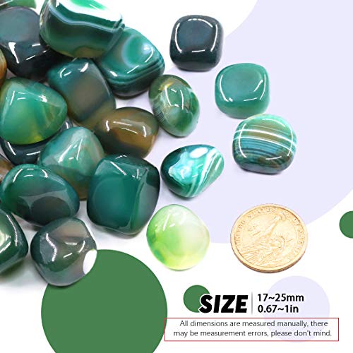 Hilitchi Green Agate Stone Tumbled Stones for Plants Cacti & Succulents Bedding, Vase Filler, Landscape Bottom Decoration (About 1lb(455g)/Bag) - color: Green Agate, size: 17-25mm (0.67"- 0.98")