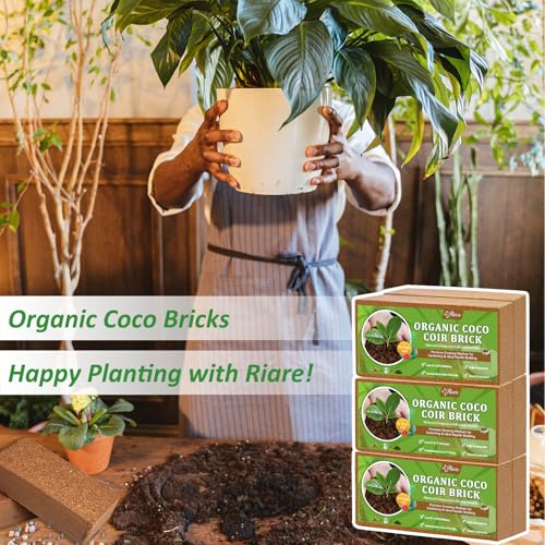 Riare 6pcs Organic Coco Coir Bricks, Natural Coconut Coir for Plants | High Expansion & Moisture Retention Coconut Husk Fiber for Seed Starting, Potting Mix, Composting, Soil Amendment & Reptiles - color: Pack of 6