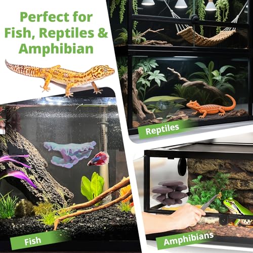 Westant Mushroom Decor for Reptile Tank, Fish Tanks (Aurora, Shelf Cap) | Realistic terrarium plants for fish tanks, leopard & crested geckos, bearded dragons, tree frogs, and snakes - color: Aurora, size: Shelf Cap