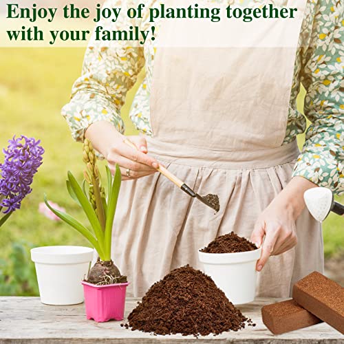 Organic Coco Coir Brick, Premium Coconut Coir for Plants, 1 Pack | 100% Coconut Fiber, Low EC & pH Balance Seed Starter Potting Soil for Plants, Herbs Houseplants Bonsai Vegetables Flowers