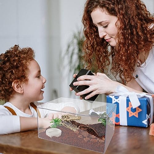 Acrylic Jumping Spider Terrarium Enclosure, Mini Reptile Tank Habitat with Locking Acrylic Spider Feeding Box for Tarantula Small Tree Dwelling Reptiles Insect (8x5x5 Inch)