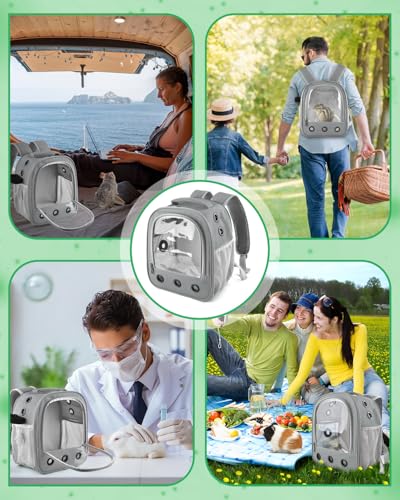 DBNESS Guinea Pig Carrier Backpack, Portable Rabbit Travel Carring Bag for Pet Bunny Chinchilla Bearded Dragon Hamster Parrot Outgoing Pouch Case with Water Bottle Holder & Detachable Pad (Light Gray) - color: Light Gray