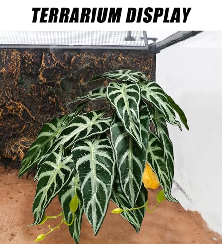 Woyrise Reptile Plants for Terrarium Decor, Ball Python Tank Accessories fit Bearded Dragon Crested Leopard Gecko Lizard Chameleon Snake Frog Tortoise Hermit Crab - Fake Alocasia Black Velvet - color: E-fake Alocasia Black Velvet