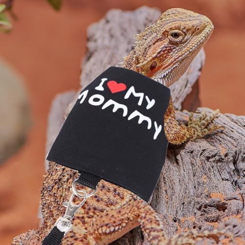 Small Animal Travel Backpack Carrier,Portable Bearded Dragon Bag for Sugar Glider,Hedgehog,Rat,Bunny,Rat,Outdoor Used (Green, Carrier L+ I Leash) - color: Green