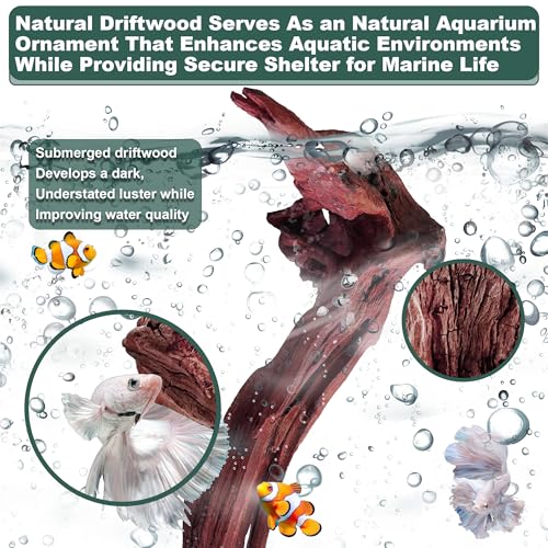 Natural Wood Driftwood for Aquarium Fish Tank Decor,Assorted Driftwood Trunk Branch for Reptile Tank Decor (MOP-ZYM Driftwood Branch (12 to16 Inch)-Pack of 3) - color: MOP-ZYM Driftwood Branch (12 to16 Inch)-Pack of 3