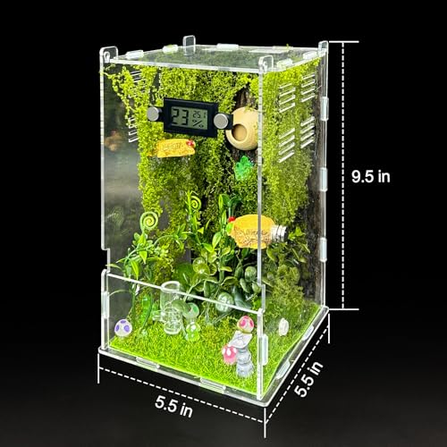 Jumping Spider Enclosure,DIY Insects Habitat,Small Reptile Terrarium Glass House Accessories Set,with Temperature and Humidity Detector Water Feeder Platform Hide,5.5“x5.5”x9.5“ (Forest) - color: Forest