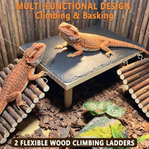 Bearded Dragon Basking Platform with Climbing Ramp,Reptile Basking Rock,XXL | Wooden Lizard Resting Platform Basking Rock Slate,Leopard Gecko Hide Cave Tank Accessories for Tortoise Snake - size: XXL: 15.75" x 7.87"x 4.56"