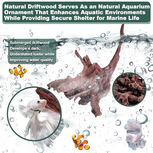 Natural Wood Driftwood for Aquarium Fish Tank Decor,Assorted Driftwood Trunk Branch for Reptile Tank Decor (LLM-Driftwood (4 to 8 Inch)-Pack of 4) - color: LLM-Driftwood (4 to 8 Inch)-Pack of 4