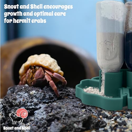 Hermit Crab Gravity Feeder - 3 Well feeders - Green for Greensand, Oyster Shell Flour and Worm castings by Snout and Shell