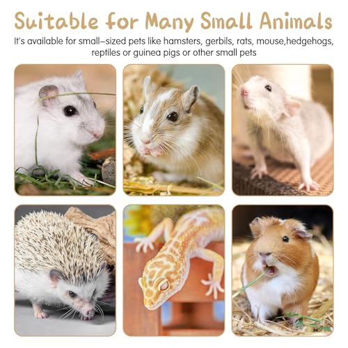 Hamiledyi 2 PCS Natural Wood Hamster Bridge, Bendable Climbing Ladder Small Animal Cage Accessories for Dwarf Hamster, Gerbils, Mice, Sugar Glider (15.7×5.9 in) - size: 15.7" × 5.9" (2 pcs)