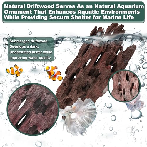 Natural Wood Driftwood for Aquarium Fish Tank Decor,Assorted Driftwood Trunk Branch for Reptile Tank Decor (SHP-XM Driftwood (6 to10 Inch)-Pack of 2) - color: SHP-XM Driftwood (6 to10 Inch)-Pack of 2