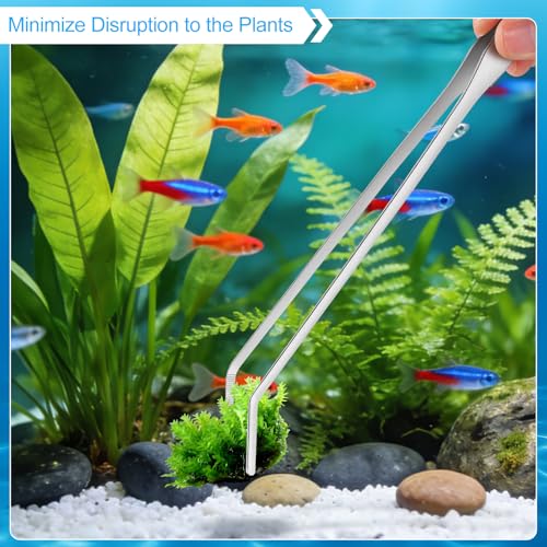 Oligei Terrarium Supplies 3 PCS, Stainless Steel Aquarium Supplies Set, Include Long Aquarium Tweezers, Curved Tweezers, Algae Scraper for Fish Tank Cleaning Plant Trimming