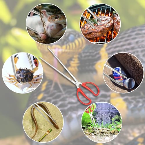 Snake Feeding Tongs,14.8 Inch Straight Mouth Reptile Feeding Tongs,Heavy Duty Snake Feeding Tongs for Corn Ball Python Accessories,Bearded Dragon Reptile Tanks Terrarium Accessories Supplies
