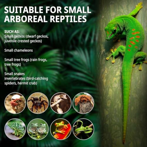 8"x8"x18"Tall Reptile Glass Tank Kit,Pre-Assembled Vertical Small Reptile Terrarium for Arboreal Species,Geckos,Chameleon,Tree Frog,Tarantula and Snake with Top and Front Openning Door