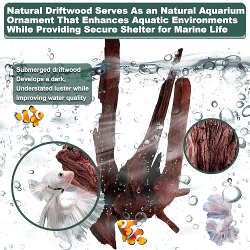 Natural Wood Driftwood for Aquarium Fish Tank Decor,Assorted Driftwood Trunk Branch for Reptile Tank Decor (MOP-ZYM Driftwood+Branch (8 to12 Inch)-Pack of 2) - color: MOP-ZYM Driftwood+Branch (8 to12 Inch)-Pack of 2