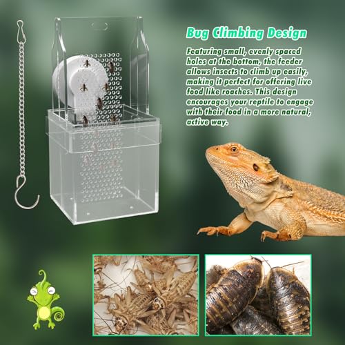 Chameleon Feeding Bowl, Hanging/Mounted Translucent Acrylic Bearded Dragon Feeder with Grid Plate for Bugs Climbing and Move, Aquarium & Terrarium Accessories for Lizard Iguana