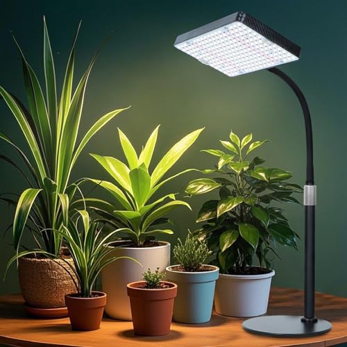FECiDA Bonsai Grow Light, Table Grow Lights for Seed Starting, Seedlings | UV-IR Full Spectrum, 5 Modes 4/8/12/16/20 Hr Timer, 25 Watt Power Draw, 16"-24" Height Adjustable - size: TableTop-1Head-25W-Timer