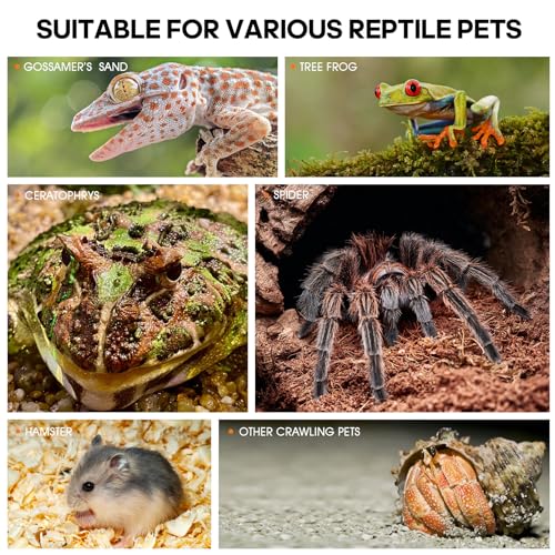 Acrylic Jumping Spider Habitat, Insect Terrarium, Bug Enclosure, Praying Mantis Habitat, Frog Enclosure - size: Small