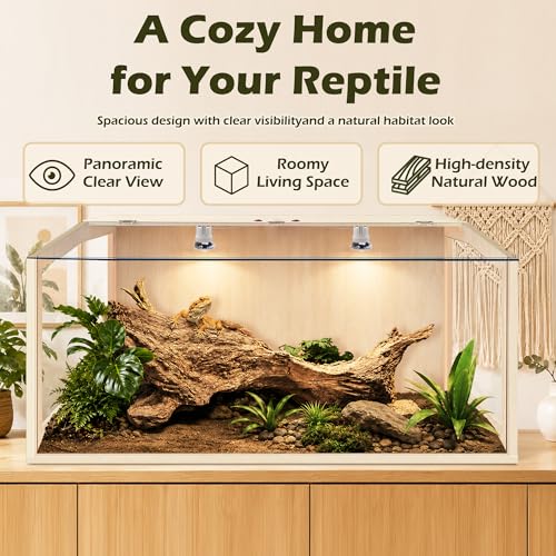 Bearded Dragon Tank, Lizard Tank with Clear Tempered Glass, Anti-Scratch Reptile Enclosure, Reptile Tank Built-in Light Fixtures with Switch (32X16X16inch,34 Gallon) - color: Transparent Roof, size: 32X16X16inch,34 Gallons