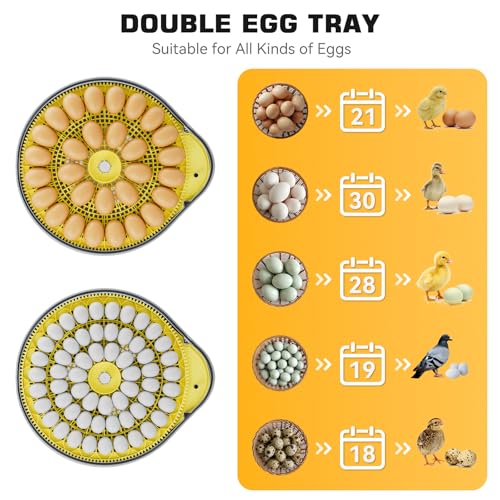 IBKINXX 26 Egg Incubator for Hatching Eggs - Smart Voice Guidance | 360° View with Automatic Temp & Humidity Control, Auto Egg Turning & Built-in Egg Candler for Chicken, Duck, & Quail