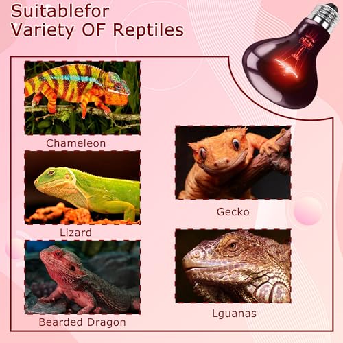 75W Infrared Red Reptiles Basking Spot Light Bulb,All-Day Heating | Promotes Growth & Vitality, Heat Lamp for Amphibians, Bearded Dragons, Turtles, Snakes & Chicks, Terrarium & Brooder Heater - color: Red Infrared, size: 75W-3.15″