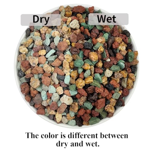Succulent Cactus Soil Potting Mix Horticultural Lava Rocks Bonsai Soil for Indoor Plants Drainage Volcanic Rock for Terrarium Gardening Top Dressing 5lb - color: Multi, size: 5 Pounds