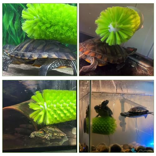 Turtle Scrub Brush, Turtle Scratches Back Brush Turtle Shell Clean Brush with Suction Cup Turtle Exfoliate Brush Tank Tortoise Brush for Remove Turtle Shell Scutes Mud Dirt