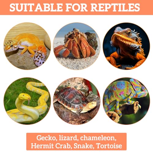 2Pcs Bearded Dragon Hammock, Breathable Straw-Woven Reptile Hammock Lizard Tank Accessories, Triangle Geckos Hammocks for Bearded Dragons, Snakes, and Axolotls, Perfect Beard Dragon Tank Accessories