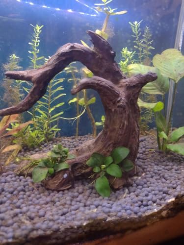 Aquarium Driftwood Decor Set - 1 Anubias Resin Model & 3Pcs Small Natural Driftwood 2-4 inch for Aquascaping, Fish Tank Landscape Design