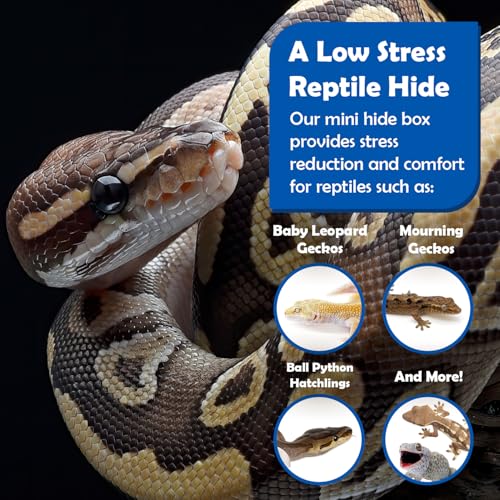 Pangea Reptile Hide Box, A - Mini 5.5"x3"x1.5" | Fits Most Standard Rack Units, Usable as Snake Tank Accessories, Good for Ball Python, Boas, Leopard Geckos, Kingsnake - size: A- Mini