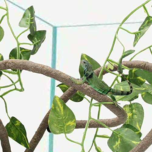 Coolrunner 8FT Reptile Vines and Flexible Reptile Leaves | with Suction Cups Jungle Climber Long Vines Habitat Decor for Climbing, Chameleon, Lizards, Gecko