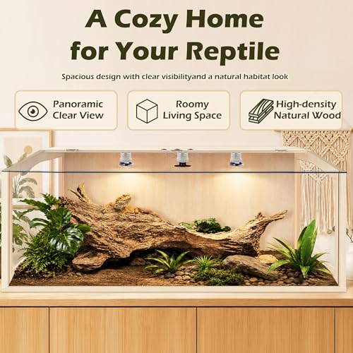 Bearded Dragon Tank, Lizard Tank with Clear Tempered Glass, Anti-Scratch Reptile Enclosure, Reptile Tank Built-in Light Fixtures with Switch (48X20X20inch,80 Gallons) - color: Transparent Roof, size: 48X20X20inch,80 Gallons