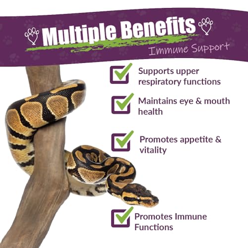 AMBER NATURALZ Reptaid XL for Reptiles 250g+, Immune & Respiratory, 1 OZ | Supports immune & upper respiratory function, eye & mouth health, appetite & vitality. Formulated for pets 250g & over. - size: Over 250 grams