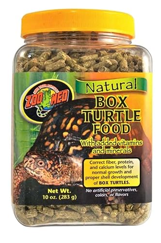ZML FOOD BOX TRTL 20OZ - size: 1 Count (Pack of 1)