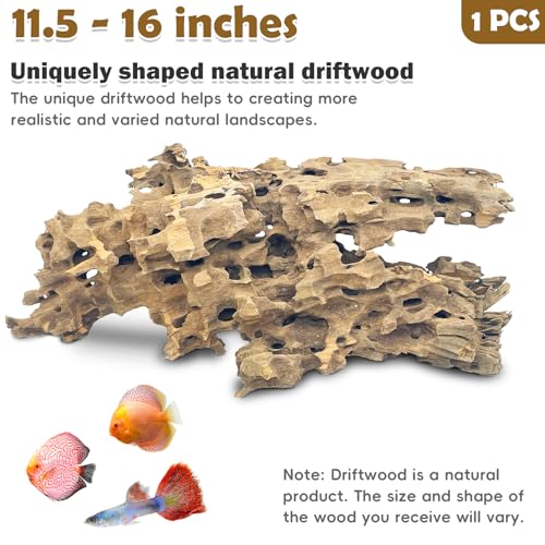 PINVNBY Natural Large Driftwood for Aquarium Reptile Terrarium Decor Decorations Assorted Branches Bearded Dragon Tank Accessories (11.5-16 inches/1 Pack) - size: XL:Honeycomb wood (11.5 - 16 inches/1 Pack)