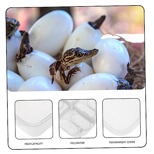 BESPORTBLE 1pack Reptile Breeding Box for Hatching Lizard Eggs Lightweight and Incubator for Geckos Snakes and Reptiles Easy to Use and Store