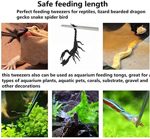 15 Inch Reptile Feeding Tongs Long Tweezers Cricket Clamp Bug Scooper | 3 Pcs Stainless Steel Straight and Curved Tweezers Feeder Tool for Snake Lizard Gecko Spider Bearded Dragon - size: 15 inch (Pack of 3)