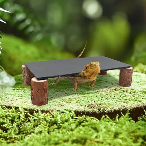 Bearded Dragon Basking Platform, Slate Rocks for Reptiles with Wooden Pile, Leopard Gecko Hides and Caves, Reptile Tank Accessories for Bearded Dragons, Geckos, Ball Pythons, Tortoise (Black, Large) - size: Large