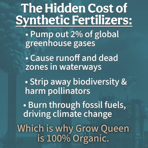 Organic Liquid Indoor Plant Food, Houseplant, Tropical & All-Purpose Indoor Plant Fertilizer, Organic Liquid Fertilizer 5-5-5 with Sea Kelp 1 Gallon Treats 800 Gallon of Water - size: 1 gallon